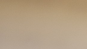 La mujer dijo sentirse decepcionada de la pareja de su hijo.