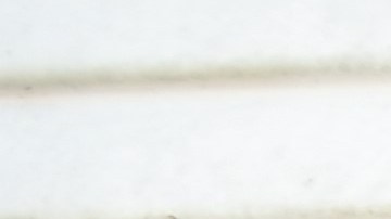 En los próximos días el Buró del Censo enviará miles de sus empleados de casa en casa para poder hacer un conteo en aquellas casas que aún no han llenado el formulario.