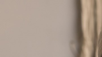 shutterstock_1689376015