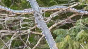 Todo se suscitó por una fuerte discusión entre la pareja.