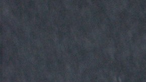 shutterstock_1765954355