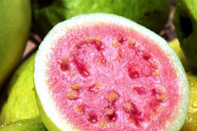 guayaba