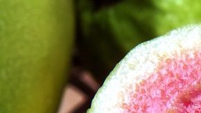 Guayaba