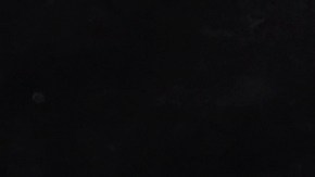 Por fortuna, el incidente no pasó a mayores.