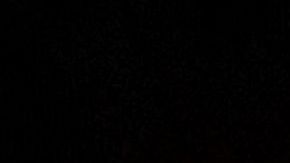 amalgama dientes odontología