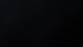 El perro se mostró agradecido.