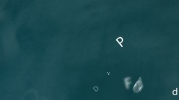 ¿Tienes idea de qué es la ortología?