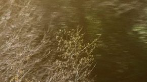 KIA Stinger. / Foto: Cortesía KIA.