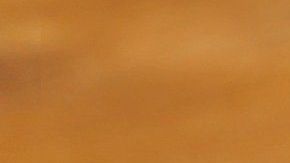 Té de canela y limón.