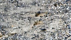 El hombre dividirá la fortuna con el dueño del terreno donde encontró el tesoro.