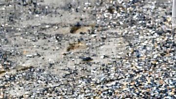 El hombre dividirá la fortuna con el dueño del terreno donde encontró el tesoro.