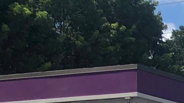 Varias patrullas de policía se han acercado al lugar del tiroteo.