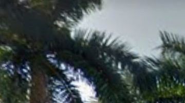 La Universidad de Miami ya ha tomado medidas para frenar el COVID-19.