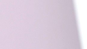 Se aprecia a la actriz y al basquetbolista disfrutando de la cena.