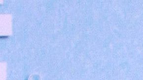 Vanessa Claudio, la conductora de "Suelta la Sopa".