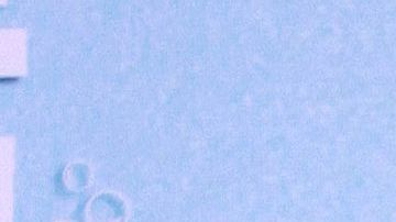 Vanessa Claudio, la conductora de "Suelta la Sopa".