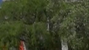 Un vehículo de la policía de la ciudad de Miami.