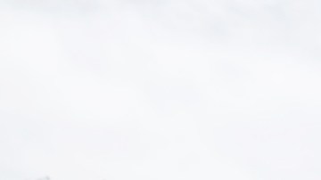 La hamburguesa tiene pico de gallo fresco, que incluye cilantro y jugo de limón.