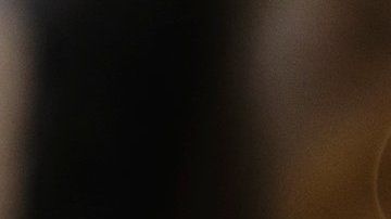 El gato parecía feliz hasta que...