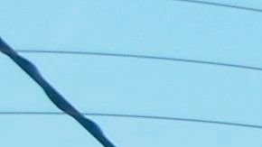 USA1774. LOS ÁNGELES (CA, EEUU), 22/05/2020.- Miguel Otero limpia un auto ataviado con una mascarilla, obligatoria por las condiciones de seguridad sanitaria, este jueves en el centro de lavado de vehículos Alicia Auto Spa, en Laguna Hills, California. Con optimismo, mascarillas y algo de aprehensión por las nuevas circunstancias de trabajo, los "lavacoches" latinos están retomando sus labores al reabrirse varios de estos negocios en el sur de California. EFE/Luis Uribe