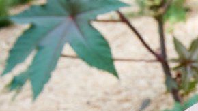 103695011_gettyimages-974121152