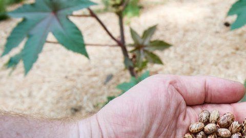 103695011_gettyimages-974121152