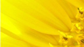 Las matemáticas han sido increíblemente eficientes para describir la naturaleza.