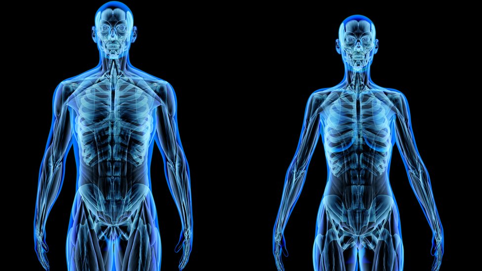 Nuestro cuerpo está fundamentalmente formado por átomos.