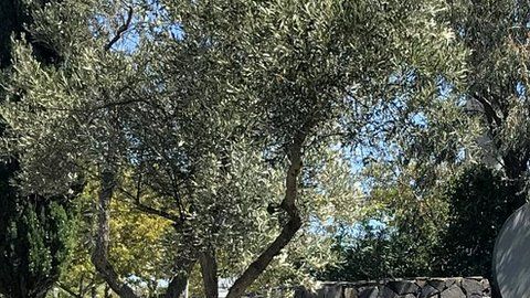 114197448_7c79635f-750d-476d-842d-ab8b715c605c