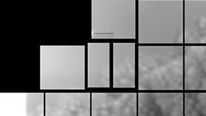 114278066_50276522908_7a9ed8756f_o