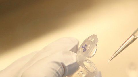 Las farmacéuticas se comprometieron a no acelerar las fases del proceso.