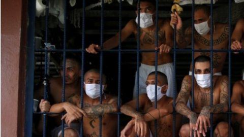 114291061_ec8995ea-8d7d-456a-aebe-109b5ce4b332