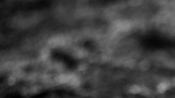114305799_pantanal11