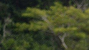 114319492_063261712-1