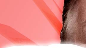 114337272_9f5d6deb-48f4-4979-9d03-c1b420266638-1