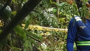 114377891_f4ecc685-a2de-40fe-8e53-9312ce0f6aee