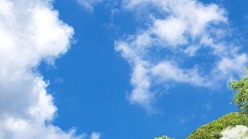 114418855_gettyimages-1159320401