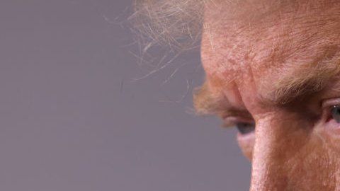 114579442_trumpperfil