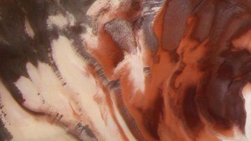 114686694_febf83f6-48ff-4da0-bc17-a16ca9655b65