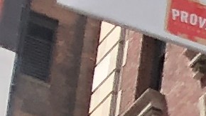 Los trabajadores protestan al 1199 SEIU la gestión de sus quejas por el trabajo durante 24 horas como cuidadores en los hogares./Cortesía