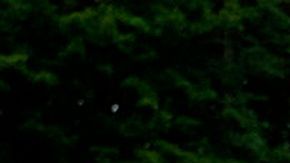 La mexicana denuncia que se sentía constantemente expuesta por su identidad de género.