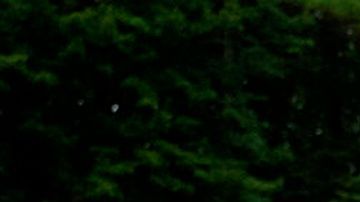 La mexicana denuncia que se sentía constantemente expuesta por su identidad de género.