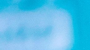 Trump se sintió alentado a hacer su propuesta después de que dos senadores republicanos anunciaran que lo apoyarían.