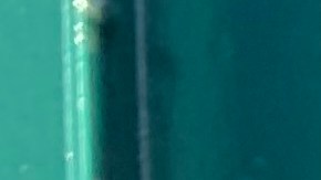 Mayra Callos, voluntaria de la campaña de participación en el Censo de Make the Road