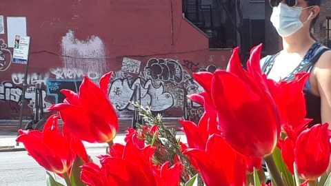 20200419_151515