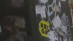 Desperdicios desbordados por toda la ciudad