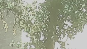 Mudanza en West Village, NYC.