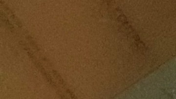 Indigencia y elecciones, NYC 2020