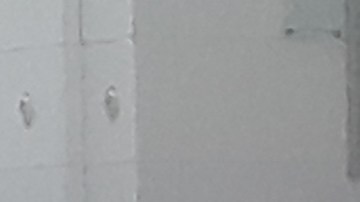 Soledad y precaución en aeropuerto JFK