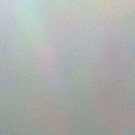 NYPD investiga el caso.